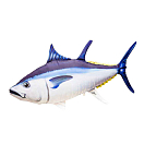 Купить Gaby GP-175396 The Monster Tuna Белая  Blue / White 7ft.ru в интернет магазине Семь Футов