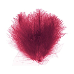 Baetis BACDCD81R CDC Dyed Перо Красный  Red