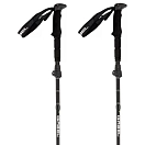 Купить Gabel 700939194-110-130 трости FR-3 EF  Black 110-130 cm 7ft.ru в интернет магазине Семь Футов