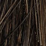 Flybox SPQ-08-UNIT Перо Stripped Peacock Quills  Natural
