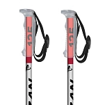 Fizan FZW235330-135 трости Active Rental  Green 135 cm