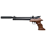 Diana 1910001 Bandit Pcp Дартс Серебристый Black  Hunt
