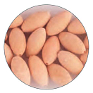 Купить Daiwa PE361644 Floating Oval Розовый  Pink Phospho 7 x 14 mm  7ft.ru в интернет магазине Семь Футов