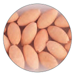 Daiwa PE361644 Floating Oval Розовый  Pink Phospho 7 x 14 mm 