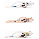Купить Mustad MIVK-L-GLO-280-1 Inkvader Octopus Jig 280g Многоцветный Glow 7ft.ru в интернет магазине Семь Футов