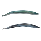 Купить Berkley 1309091 Мягкий приманка Alive 130 mm  Silver Mud 7ft.ru в интернет магазине Семь Футов