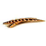 Baetis TQP100/WA Turkey Quill Волосы Золотистый  100