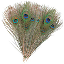 Купить Baetis 62203 Peacock Глаза Зеленый 7ft.ru в интернет магазине Семь Футов
