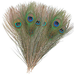 Baetis 62203 Peacock Глаза Зеленый