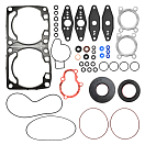 Купить Комплект прокладок с сальниками Sledex для Arctic Cat 600LC OEM: SM-09535F/3004-081/3005-854/3007-889/3007-705/3006-436/3003-227/3005-226/3005-692/3007-533/3003-759/3008-030/3007-431/3007-543/3007-541 в интернет магазине Семь Футов