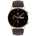 Honor 55027006AMZ Смарт-часы Watch GS3 Classic  Gold