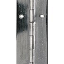Plastimo 405986 Нержавеющая сталь Piano Петля 50 x 2 mm