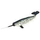 Купить Safari ltd S212202 Narwhal Фигура Серый  Black / White From 3 Years  7ft.ru в интернет магазине Семь Футов