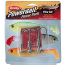 Купить Berkley 1210493 Powerbait Pro Pack Pike Серебристый  Multicolour 7ft.ru в интернет магазине Семь Футов