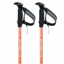 Купить Guidetti R10370-62/135 Altitude Safran столбы 2 единицы измерения Серебристый Orange 62-135 cm 7ft.ru в интернет магазине Семь Футов