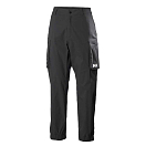 Купить Helly hansen 53708_990-L Брюки Move Qd Серый  Black L 7ft.ru в интернет магазине Семь Футов