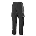 Helly hansen 53708_990-L Брюки Move Qd Серый  Black L