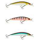 Купить Daiwa 16711007 Tournament Current Master SR Floating Пескарь 93 mm 12g Золотистый Kibinago 7ft.ru в интернет магазине Семь Футов