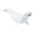 Купить Safari ltd S211002 Beluga Фигура Белая  White From 3 Years  7ft.ru в интернет магазине Семь Футов
