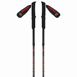 Scott 2398700001077-110 Trail Поляки Черный  Black 110 cm