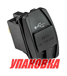 Разъем USB 5В 3.1А (упаковка из 10 шт.) AAA 10120_pkg_10