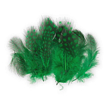 Baetis GBM072/WA Guinea Перо птицы Зеленый  Green