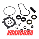 Ремкомплект редуктора Suzuki DF40A-60A/DT40, Recmar (упаковка из 10 шт.) 2570088L00_RM_pkg_10