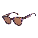 Superdry 996096-50-3060 Солнцезащитные очки Sds-5037-102 Purple Havana Solid Smoke/CAT3