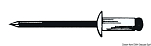 SS stud standard head 4.8 x10mm, 37.218.02