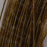 Flybox SPQ-74-UNIT Перо Stripped Peacock Quills  Golden Olive