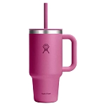 Hydro flask TT32PSC677 термокружка All Around 950ml  Reef