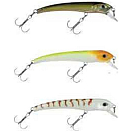 Купить Molix AU65SP-567 Audace Suspending 65 Mm 3.5g Многоцветный 567 Ghost Natural Shad 7ft.ru в интернет магазине Семь Футов