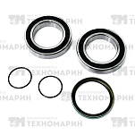 Комплект подшипников BRP SM-03178 SPI