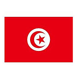 Oem marine FL420140 30x40 cm Флаг Туниса  Multicolour