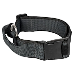 Julius k-9 200HA-K-2024 ошейник для собак Collar 50 mm Black 50 mm