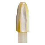 Shimoda IZSRK9-UNIT Ryoken Kagura Мягкая приманка на голову 9 mm Золотистый White