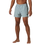 Helly hansen 34296_485-XL плавательные шорты Newport Grey Cactus Stripe XL