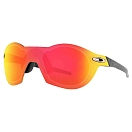 Купить Oakley 0OO909890980248 Солнцезащитные очки Re:Subzero Prizm Серый Carbon Fiber Prizm Ruby/CAT3 7ft.ru в интернет магазине Семь Футов