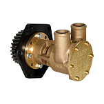 Jabsco 29640-1101 Бронзовый насос, фланцевая версия, размер 080, соединение шланга 32 мм, 1/1, NEO