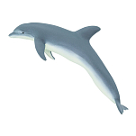 Safari ltd S210802 Bottlenose Dolphin Фигура Голубой Grey From 3 Years 