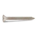 Купить Euromarine VIXVTFB4813-25 DIN 7983 A4 4.8x13 mm Винт для значка с крестообразным потайной головкой 25 единицы Grey 7ft.ru в интернет магазине Семь Футов
