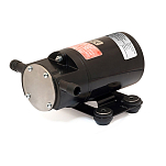 Johnson pump 10-24886-02 F2P10-19 24V 15l/min Насос Серебристый Black 172 x 117 x 78 mm