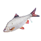 Купить Gaby GP-780309 The Roach Mini Золотистый  Silver / Orange 7ft.ru в интернет магазине Семь Футов