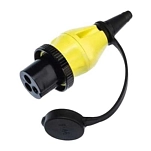 Victron energy NT-542 32A/250VAC 2P/Вилка питания Нержавеющая сталь 32A 3W Золотистый Black
