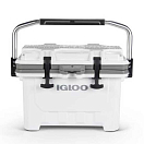 Купить Igloo coolers 60241 IMX 24 22L Жесткий портативный кулер White 7ft.ru в интернет магазине Семь Футов