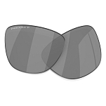 Oakley 103-607-002 Frogskins Hybrid Сменные Линзы  Black Polarized Prizm Black Polarized/CAT3