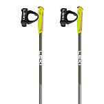 Leki 65326531-80/110 Walker XS юниорские палки Серебристый Grey / Green 80-110 cm
