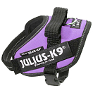 Купить Julius k-9 16IDC-PR-B2 IDC® Power Baby Обуздать Фиолетовый Purple Baby 2 7ft.ru в интернет магазине Семь Футов