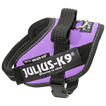 Julius k-9 16IDC-PR-B2 IDC® Power Baby Обуздать Фиолетовый Purple Baby 2