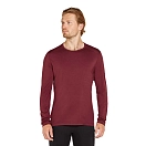 Купить Icebreaker 10436501CS Базовый слой с длинным рукавом Merino 200 Oasis Port S 7ft.ru в интернет магазине Семь Футов